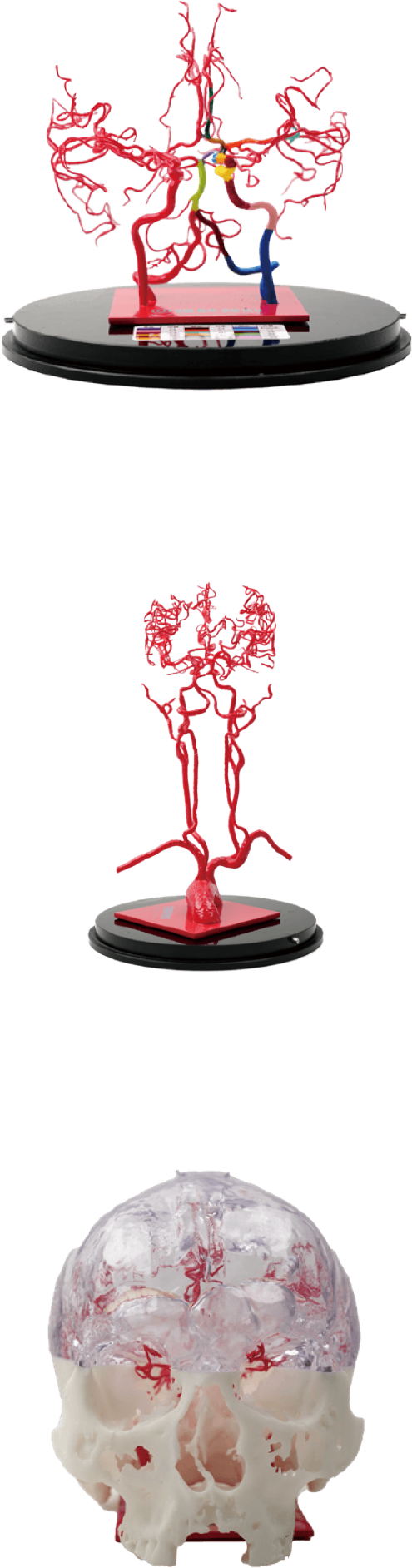 UAlpha Model